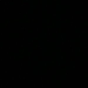 Meet your Posher, Landon